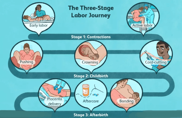 Main stages of labor and delivery